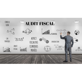 Audit et gestion fiscal : méthodologie et aspects pratiques